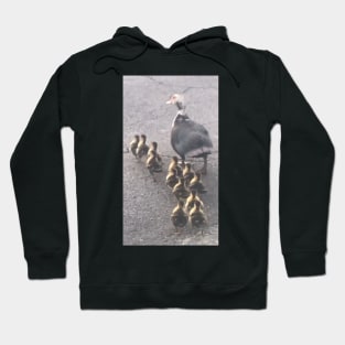 Lovely ducks Hoodie